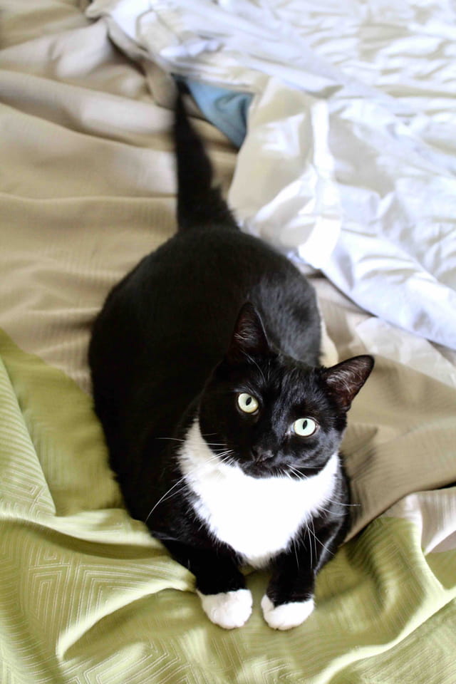 Chyke's beloved Sir Edmund.